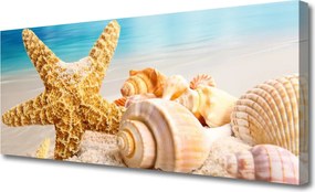 Obraz na płótnie Nadmorskie Skarby: Rozgwiazda