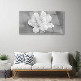 Obraz Akrylowy Kwiaty Roślina