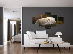 Obraz - Odpoczywający wilk (125x70 cm)