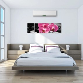 Obraz - Różowe orchidee (170x50 cm)