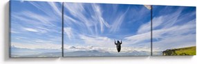 Obraz - Paralotniarstwo (170x50 cm)
