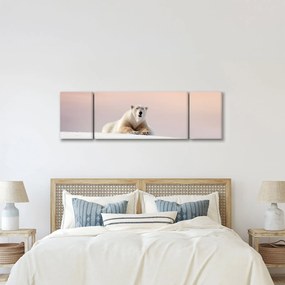 Obraz - Niedźwiedź polarny (170x50 cm)