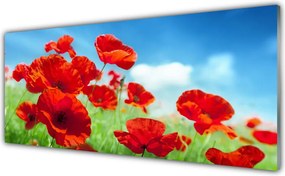 Panel Szklany Maki w Porannej Rosie
