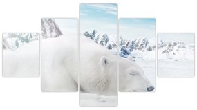 Obraz - Niedźwiedź polarny (125x70 cm)