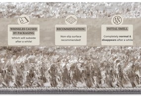 Dywan w beżowo-srebrnym kolorze 67x120 cm Shine Classic – Hanse Home