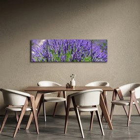 Obraz - lawenda (170x50 cm)