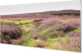 Szkło do Kuchni na Ścianę Morze Fioletowych Wrzosów