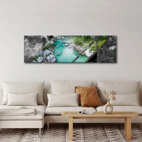 Obraz - Dzika przyroda (170x50 cm)