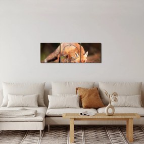 Obraz - Lis w lesie (z zegarem) (90x30 cm)