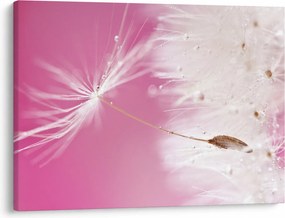 Obraz - Makro kwiat (70x50 cm)