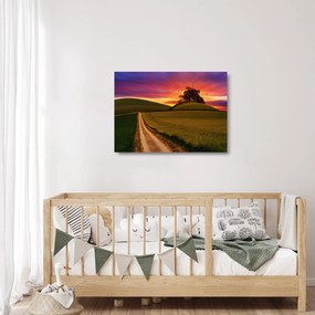 Obraz na szkle - pole z zachodem słońca (70x50 cm)