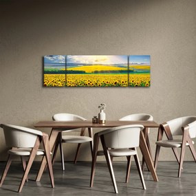 Obraz - Pole słoneczników (170x50 cm)