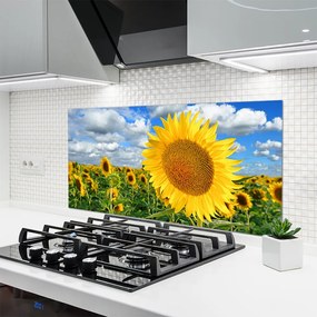 Panel Szklany do Kuchni Złoty Słonecznik pod Niebem