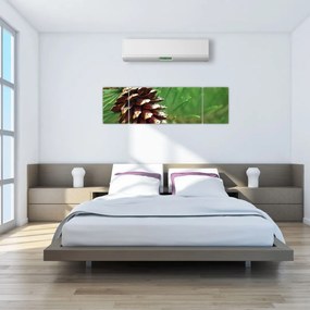 Obraz szyszki (170x50 cm)