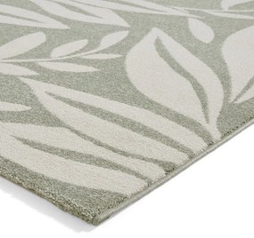 Jasnozielony dywan 160x230 cm Sorral Leaves – Catherine Lansfield