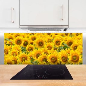 Panel Kuchenny Słonecznik W Pełnym Słońcu