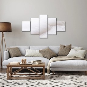 Obraz - Białe pióro (125x70 cm)