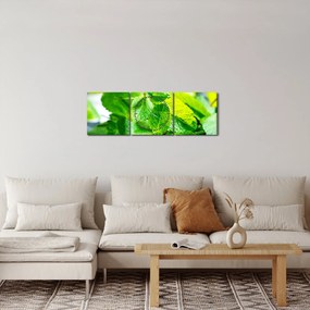 Obraz mięty (z zegarem) (90x30 cm)