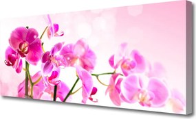 Fotoobraz na płótnie Pastelowa Kompozycja Florystyczna