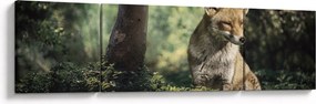 Obraz lisa (170x50 cm)