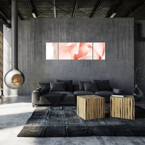 Obraz - Róża (170x50 cm)