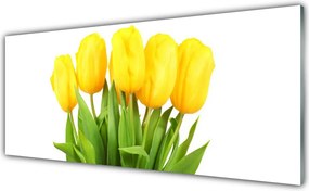 Panel Szklany do Kuchni Tulipany w Porannym Słońcu