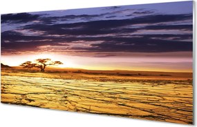 Panel szklany do Kuchni Chmury i Drzewa na Niebie