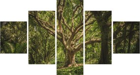 Obraz drzewa (125x70 cm)