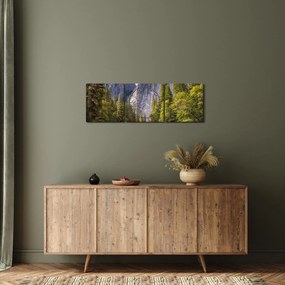 Obraz - Pod Yosemite Rock (z zegarem) (90x30 cm)