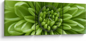 Obraz - Obraz rośliny w trybie makro (z zegarem) (90x30 cm)