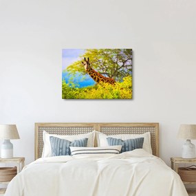 Obraz żyrafy w Afryce (70x50 cm)