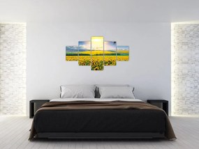 Obraz - Pole słoneczników (125x70 cm)