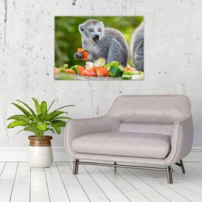 Obraz na szkle lemura (70x50 cm)