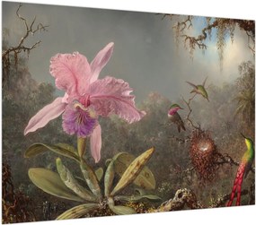 Obraz - Martin Johnson Heade, Cattleya Orchid and Three Hummingbirds, reprodukcje (70x50 cm)