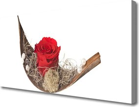 Obraz canvas Czerwona Róża w Kroplach Rosy