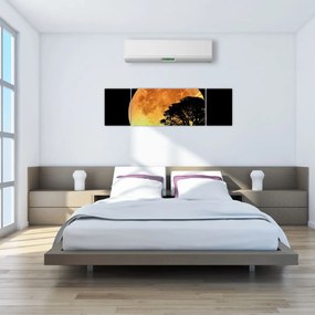Obraz cieni w świetle księżyca (170x50 cm)