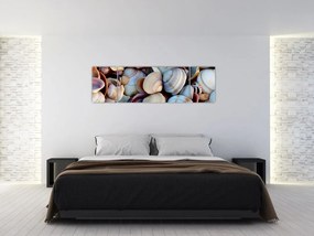 Obraz muszelek (170x50 cm)