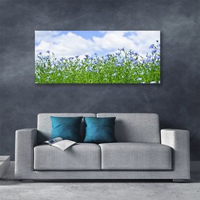 Obraz na płótnie Harmonijna Flora Ogrodowa