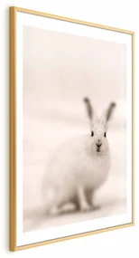 Plakat Strachliwe spojrzenie 21x30 cm z ramą złotą z marginesem ARTGEIST B