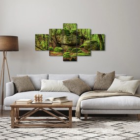 Obraz magicznego lasu (125x70 cm)