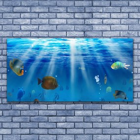 Obraz na płótnie Egzotyczna Ryba w Tonii