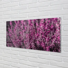 Szklany Panel Pole wrzosy
