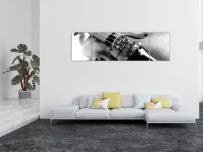 Obraz - Skrzypce (170x50 cm)