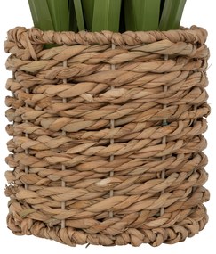 Bukiet lnu ZYA w doniczce z włókien naturalnych, 91 cm