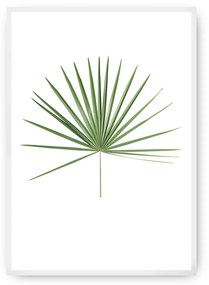 Plakat Tropical Leaf Green