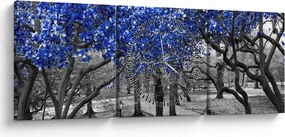 Obraz - Niebieskie drzewa, Central Park, New York (z zegarem) (90x30 cm)