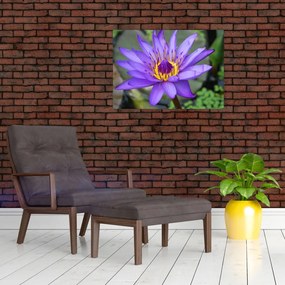 Obraz - Fioletowy kwiat (70x50 cm)