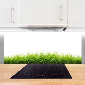 Panel Kuchenny Naturalny Dywan Trawy