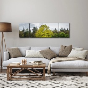 Obraz zielonego drzewa na środku pola (170x50 cm)