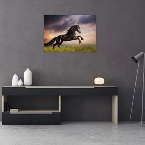 Obraz na szkle - Konie (70x50 cm)